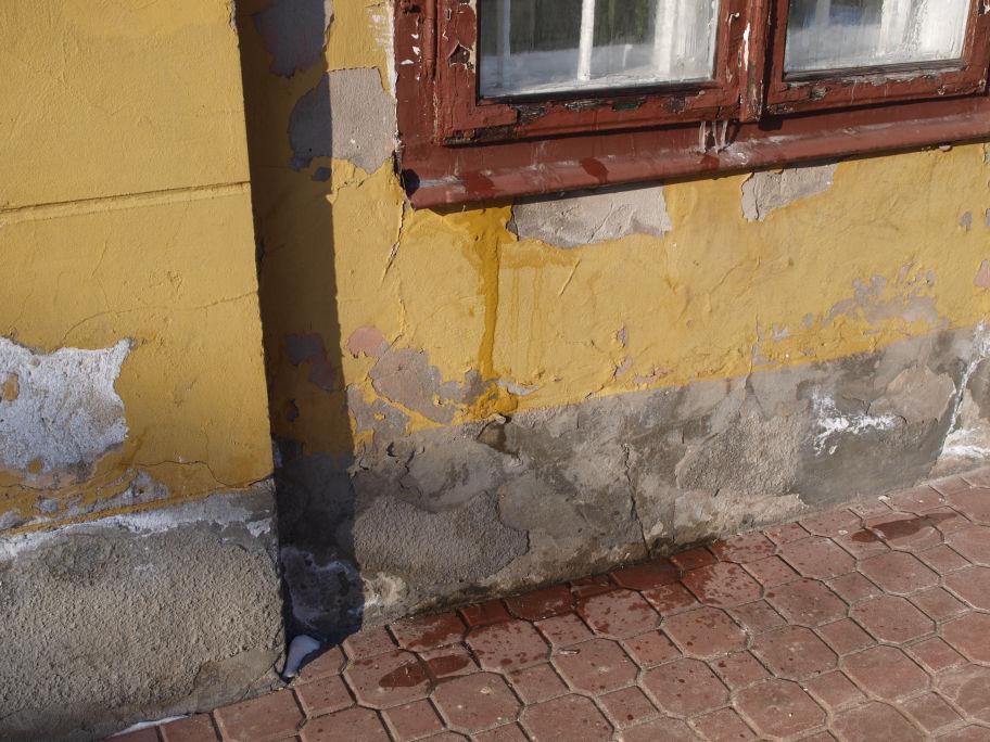 Opinia mykologiczna Budynek ratusza w Solcu
