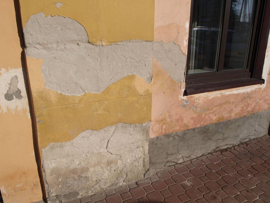 Opinia mykologiczna Budynek ratusza w