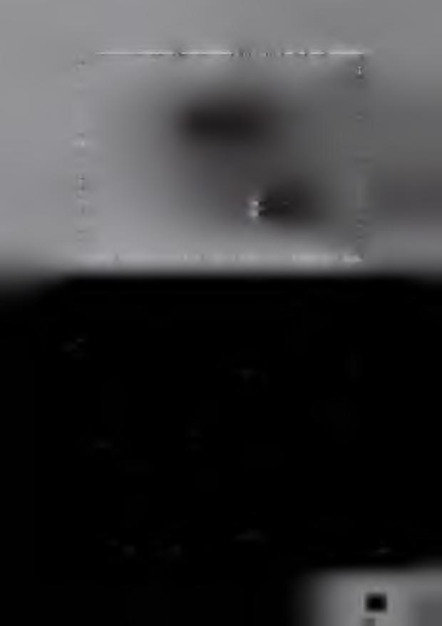 Nad nawą główną i prezbiterium wykonana jest samonośna konstrukcja sufitu o kształcie spłaszczonej kolebki wsparta na murach zewnętrznych i podwieszona do konstrukcji dachu o grubości ok.