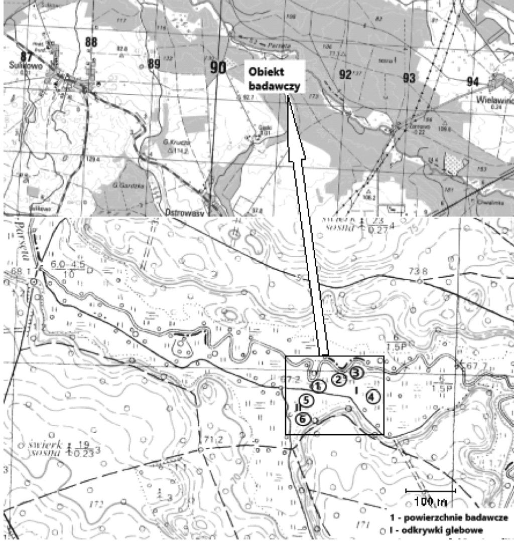 186 M. Szuleta, T. Kitczak, E. Łazar, A. Kirkiewicz koszone raz w roku, w trzeciej dekadzie czerwca.