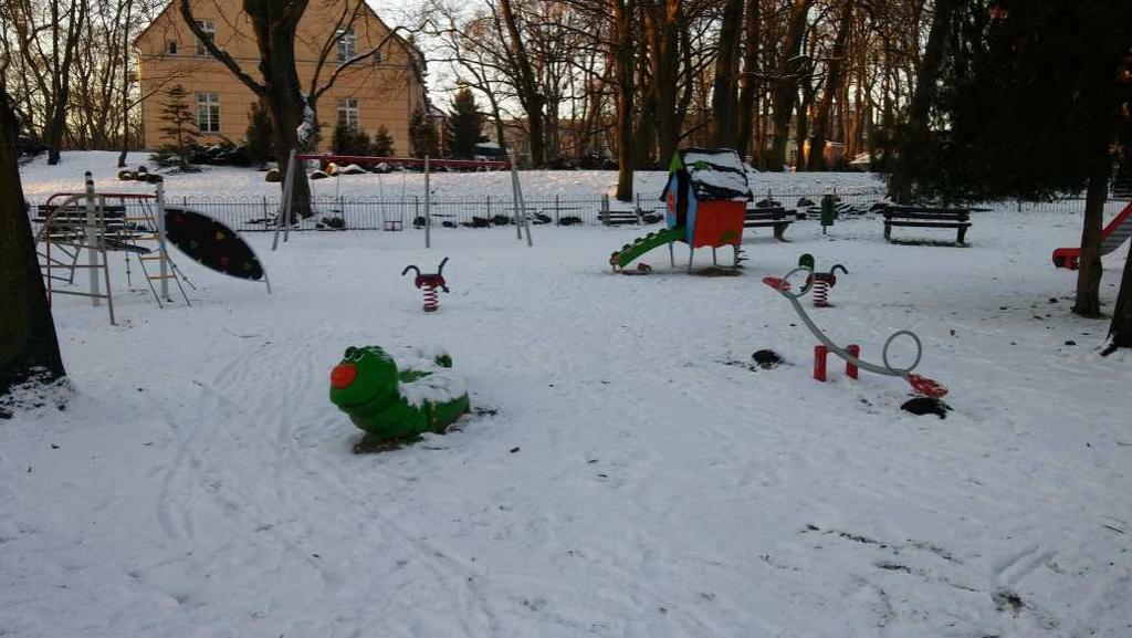 Rys. 1 Zdjęcie przedstawiające