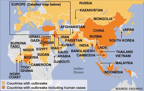 A H5N1