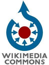 WIKIMEDIA COMMONS zbiór zdjęć, grafik, schematów, filmów i muzyki, z których wszystkie, bez wyjątku, są dostępne na wolnych licencjach.