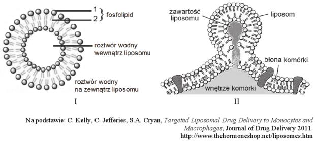 umieszcza się np. zawiesiny leków.