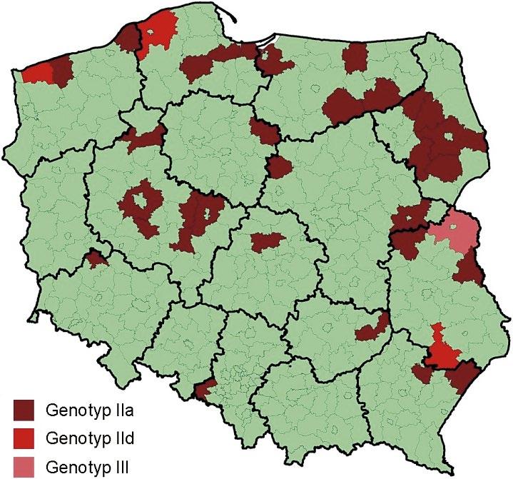 388 lowane oocysty zawierające 4 sporozoity wydalane są wraz z kałem do środowiska.