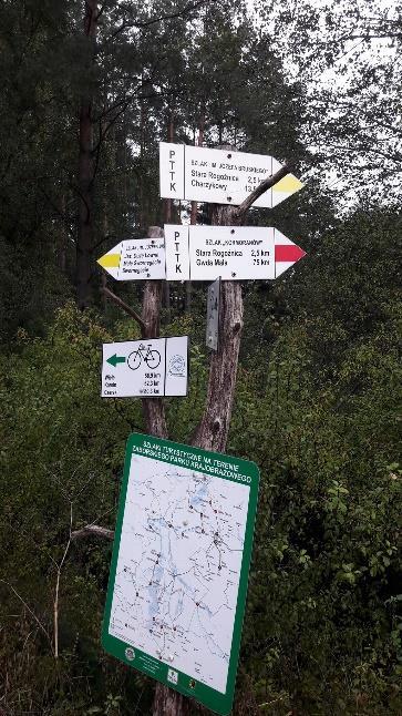 Park Narodowy Bory Tucholskie Początek rajdu spokojny, potem tempo