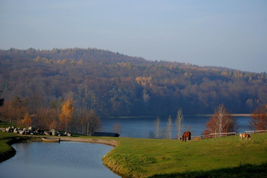 Pojezierza Południobałtyckie gleby brunatne