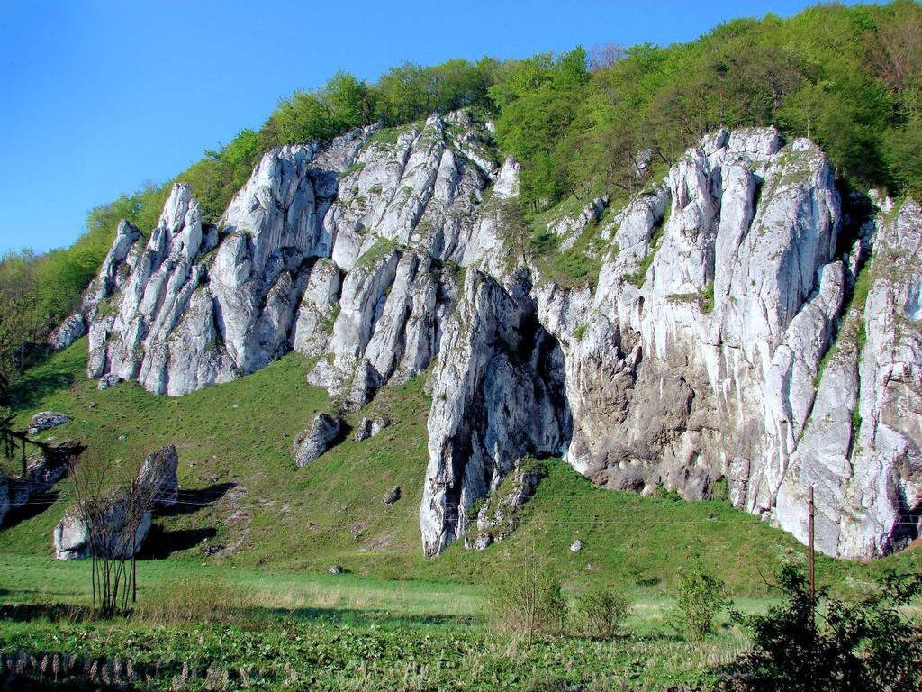 Wyżyna Śląsko-Krakowska położona w północno-zachodniej części Małopolski osady paleozoicznie