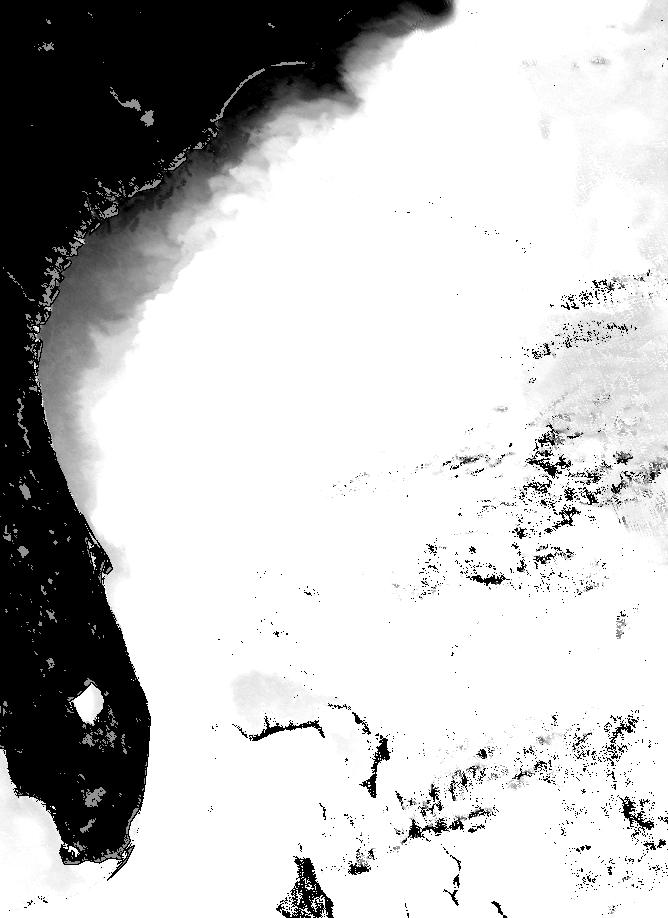 Temperatura wód powierzchniowych Temperatura powierzchni morza (SST), mapa