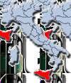Region Sicilia Alke Bianco I.G.T. Antichi vinai Alke Rosso I.G.T. Petralava D.O.C.