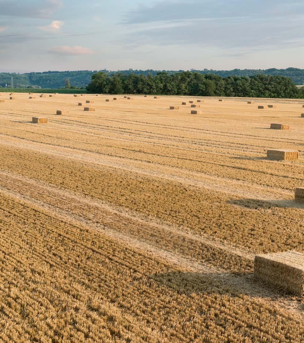Szybko, czysto, bezpiecznie. Nie omijamy ani jednego źdźbła. Świat CLAAS Świat CLAAS. Praca jest całą naszą dumą właśnie dlatego, że czasami wymaga od nas wszystkiego.