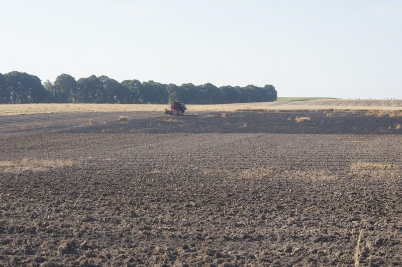 Seria czarnych zdarzeń na terenie gminy Leśniowice W dniach 4 7 sierpnia 2015 r. na terenie gminy Leśniowice doszło do serii czarnych zdarzeń, trzech pożarów i jednego wypadku samochodowego.