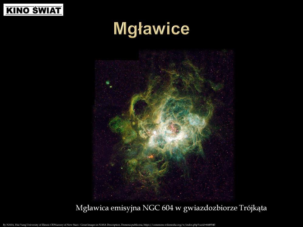 Oprócz pojedynczych gwiazd, galaktyki zawierają dużą liczbę układów gwiazd oraz różnego rodzaju mgławice.
