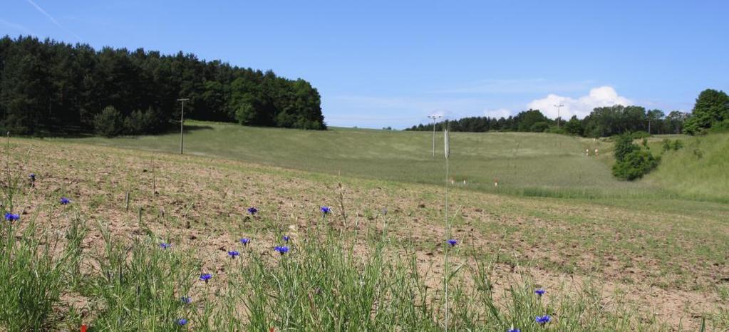 Przesłanie dla polityki środowiskowej Ostatnie ustalenia na temat wpływu zmian klimatu na region Morza Bałtyckiego nie zostaly jeszcze uwzględnione w dokumentach dotyczących polityki środowiskowej.
