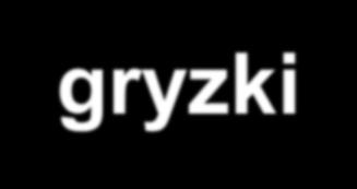 Szkodniki zbóż i ich