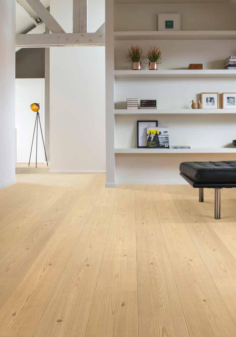 Impressio 60187 Sosna Złota