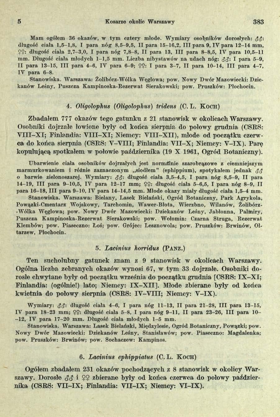 5 Kosarze okolic Warszawy 3 8 3 Mam ogółem 36 okazów, w tym cztery młode. W ym iary osobników dorosłych: (?<?