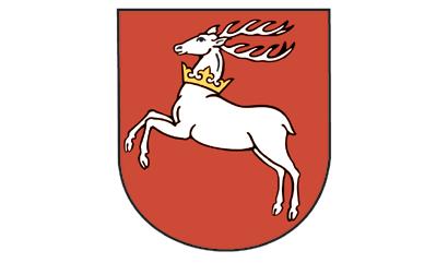 Sylwester Peryt SAMORZĄD WOJEWÓDZTWA LUBELSKIEGO PATRONEM BEZPIECZEŃSTWA OSÓB Z DYSFUNKCJĄ WZROKU