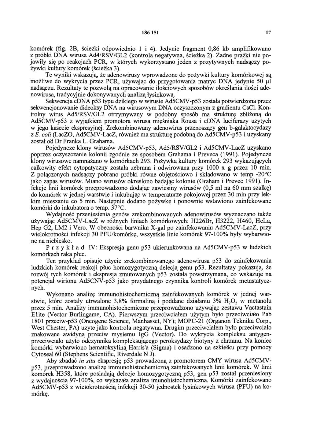 186 151 17 komórek (fig. 2B, ścieżki odpowiednio 1 i 4). Jedynie fragment 0,86 kb amplifikowano z próbki DNA wirusa Ad4/RSV/GL2 (kontrola negatywna, ścieżka 2).