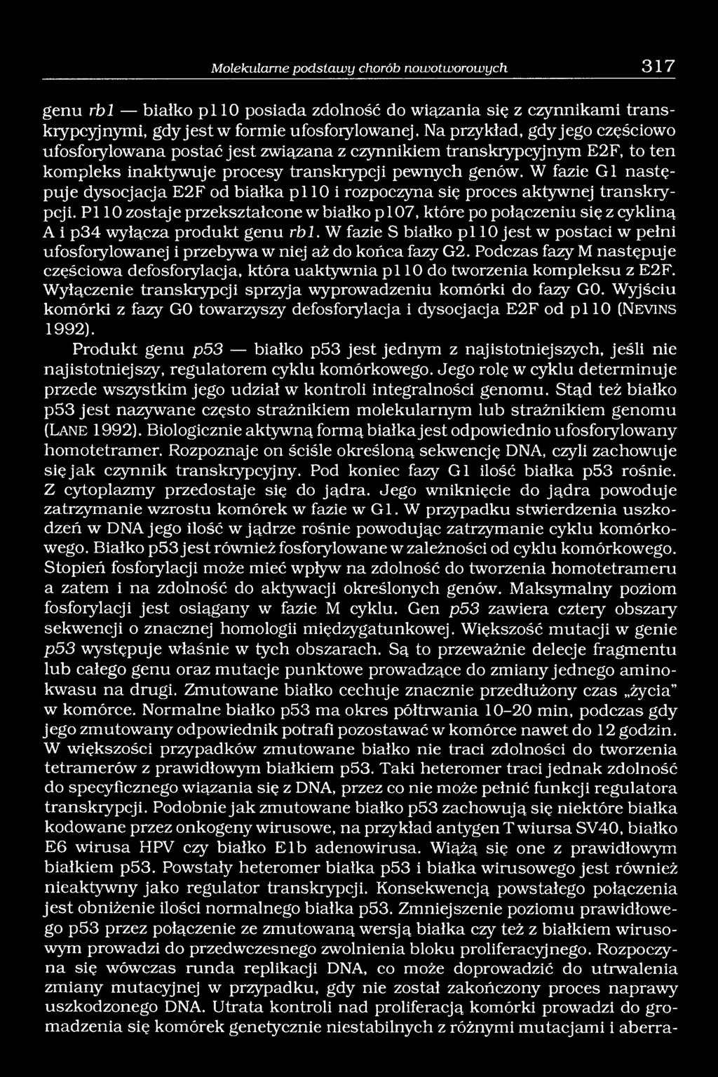 W fazie G1 następuje dysocjacja E2F od białka p l 10 i rozpoczyna się proces aktywnej transkrypcji.