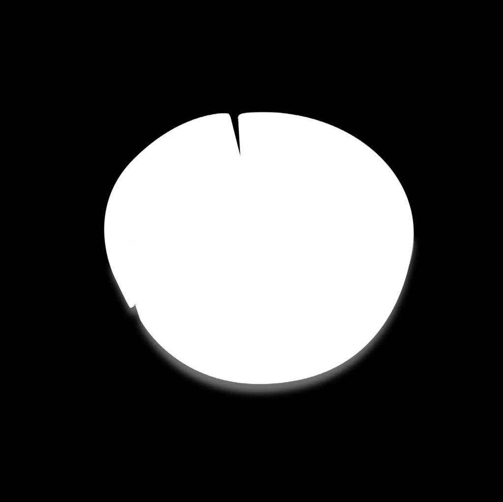 ż 12 r.