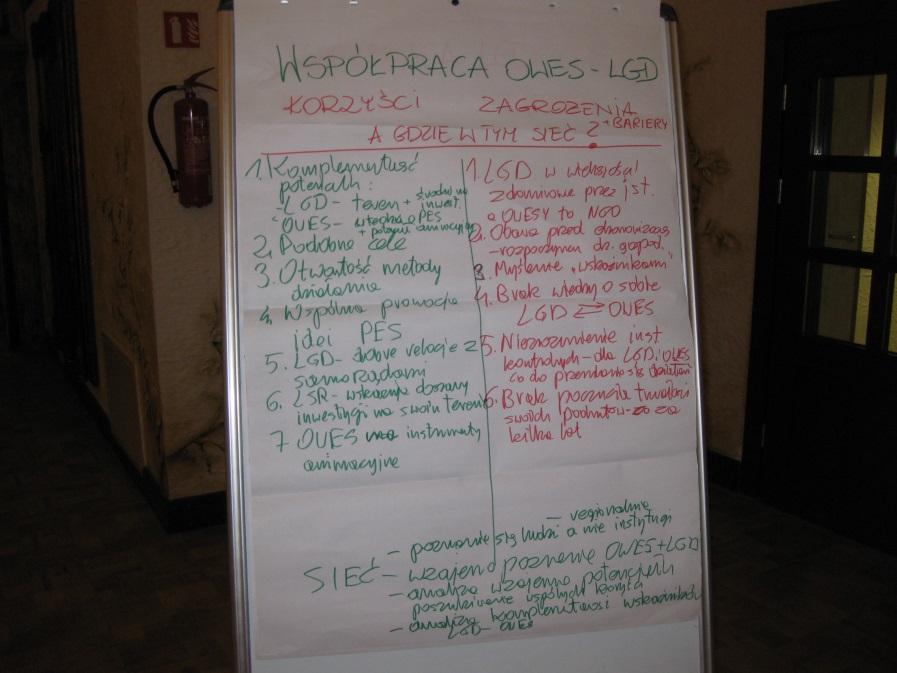 4. Wspólna promocja idei PES; 5. LGD dobre relacje z samorządami; 6. LSR wskazują obszary inwestycji na swoim terenie. 7. OWES ma Instrumenty animacyjne Zagrożenia i bariery: 1.