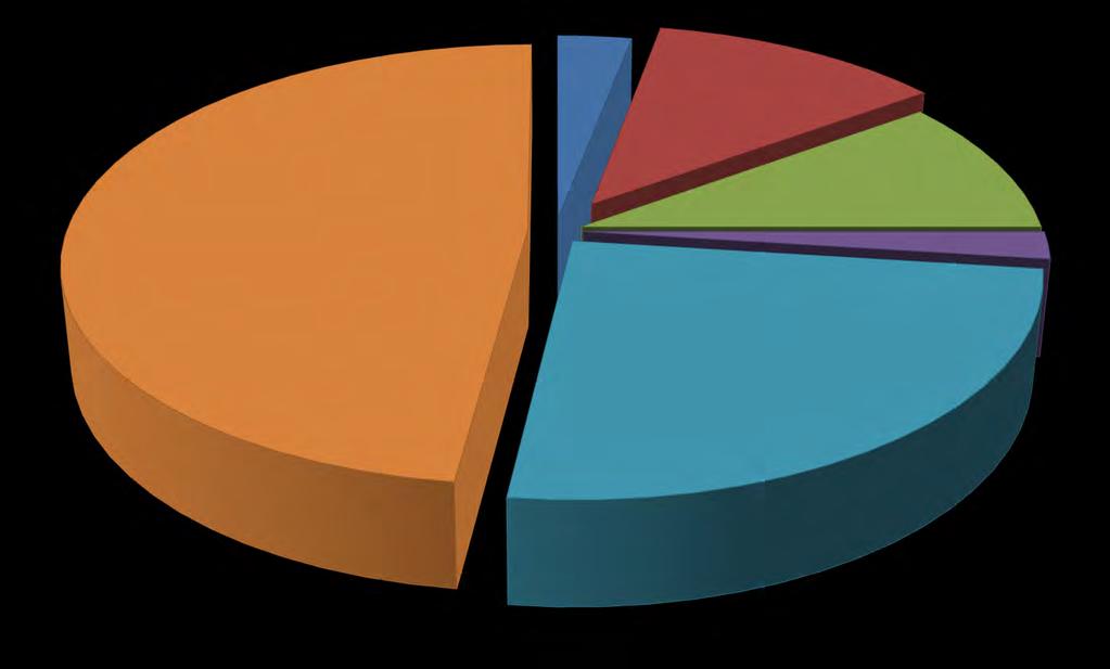 Ponad 50% obiektów ma zagraniczne pochodzenie, i tylko niewielki udział tych, które