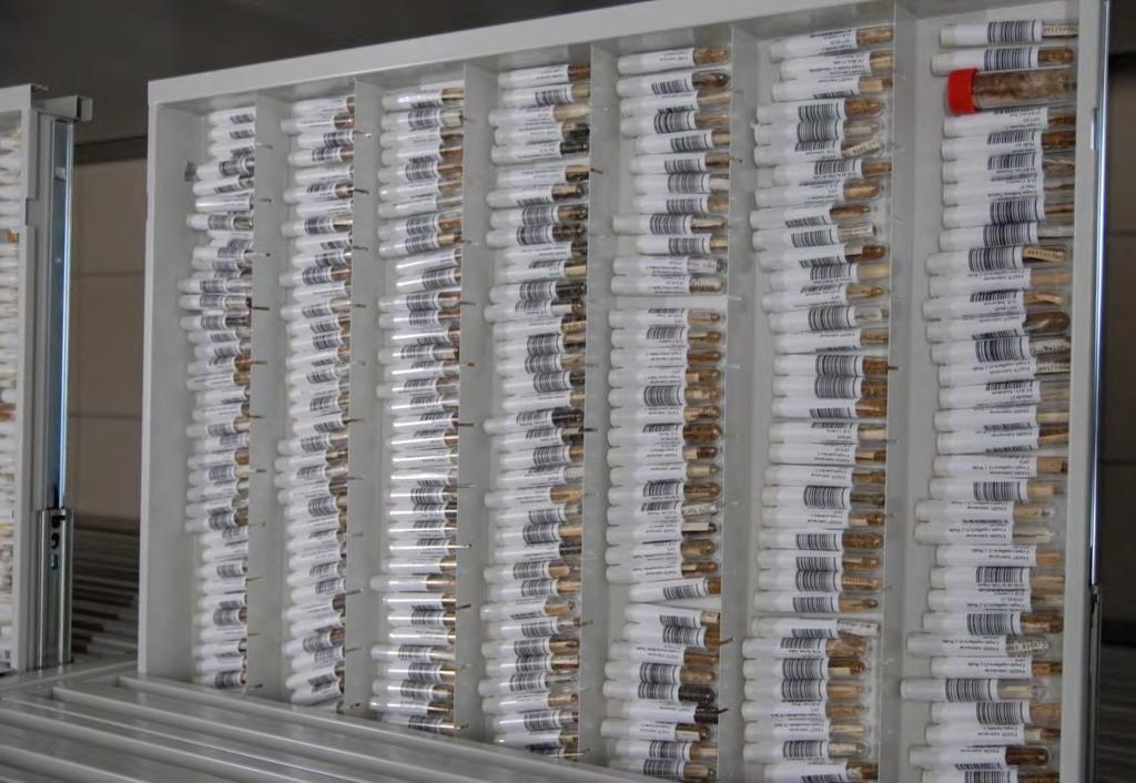 Prowadzenie herbarium Herbarium Krajowego Centrum Roślinnych Zasobów Genowych posiada bogatą