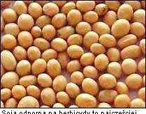 Efekty wdrażania postępu technicznego postęp techniczny powoduje wzrost produktywności czynników wytwórczych, a wiec wzrost produkcji która może być uzyskana z danego zasobu czynników Etapy rozwoju