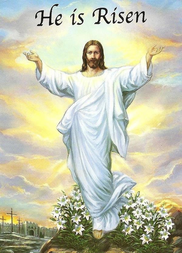 m. PARISH OFFICE HOURS: Mon., Tue., Wed., Fri.: 9 a.m. - 12 noon & 1 p.m. - 4 p.m. Thursday / Czwartki Office Is Closed! / Biuro zamknięte! Please call ahead for an appointment with a priest.