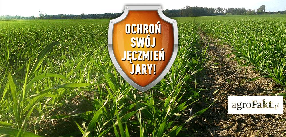 .pl https://www..pl Ochrona fungicydowa zbóż jarych już od siewu Autor: Karol Bogacz Data: 30 marca 2017 Marzec przywitał rolników ciepłą, słoneczną pogodą.
