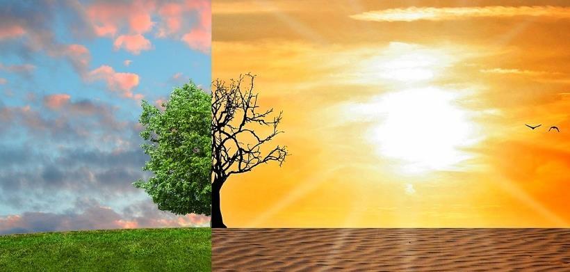 Nasze podejście do wdrożenia zmian. Jak wprowadzić zmiany... Źródło: www.freerangestock.