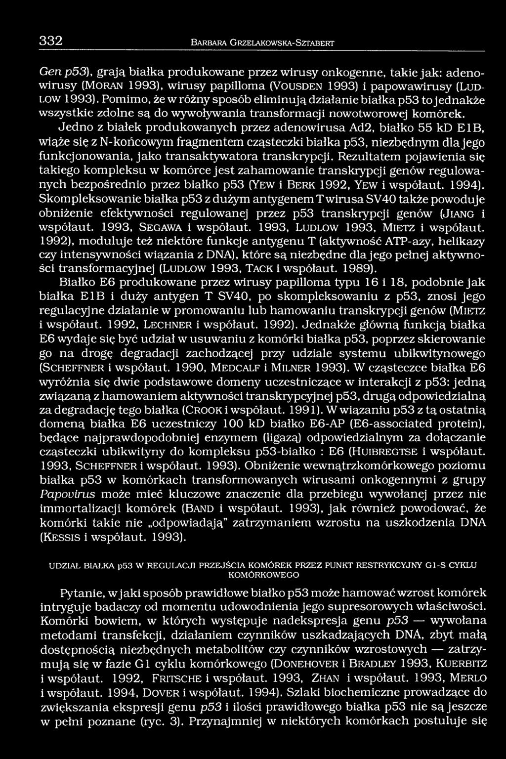 Jedno z białek produkowanych przez adenowirusa Ad2, białko 55 kd E1B, wiąże się z N-końcowym fragmentem cząsteczki białka p53, niezbędnym dla jego funkcjonowania, jako transaktywatora transkrypcji.