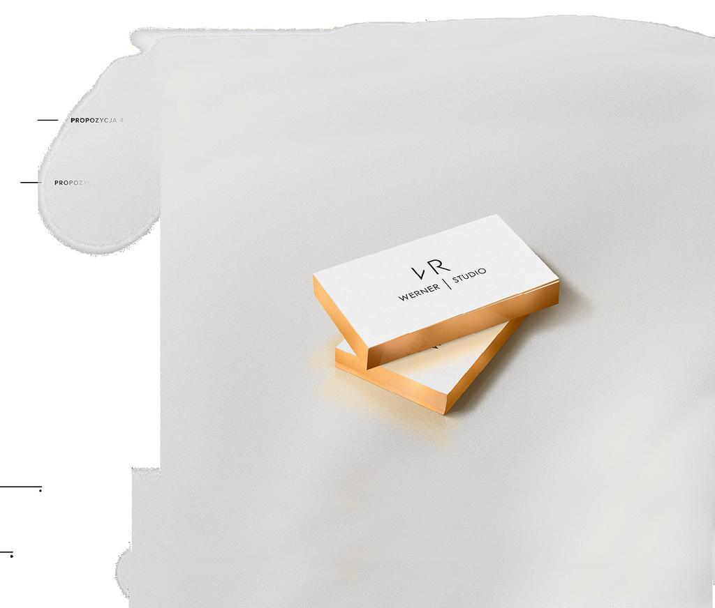 WERNER logo webdesign Nowoczesność i minimalizm to kierunek, jaki obraliśmy przy współpracy ze