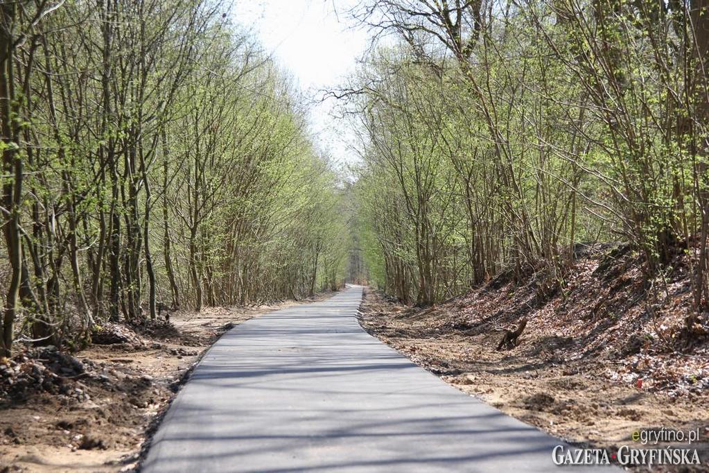 Odcinek pozamiejski Gryfino Borzym Koncepce rozvoje přeshraniční cykloturistiky v polskočeském příhraničí Koncepcja rozwoju transgranicznej turystyki rowerowej na pograniczu polsko-czeskim