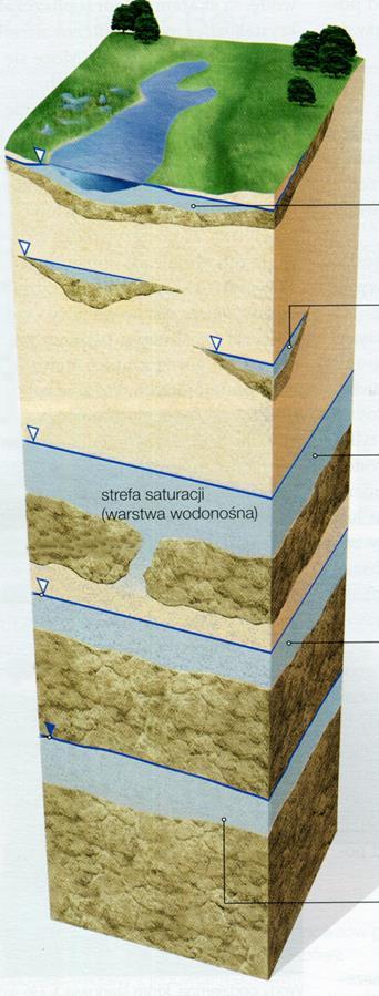 Wody podziemne Poziomy wodonośne: A. Wody zaskórne (podskórne) położone najpłycej, B. Wody gruntowe, C. Wody wgłębne, D. Wody głębinowe położone najgłębiej.