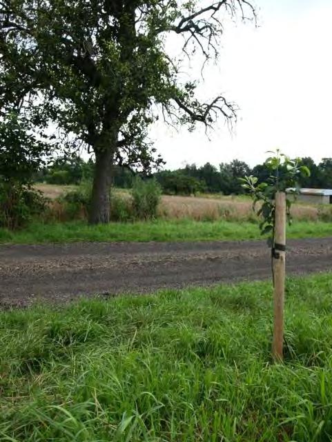 ekologiczne dla pachnicy dębowej finansowany ze środków PO
