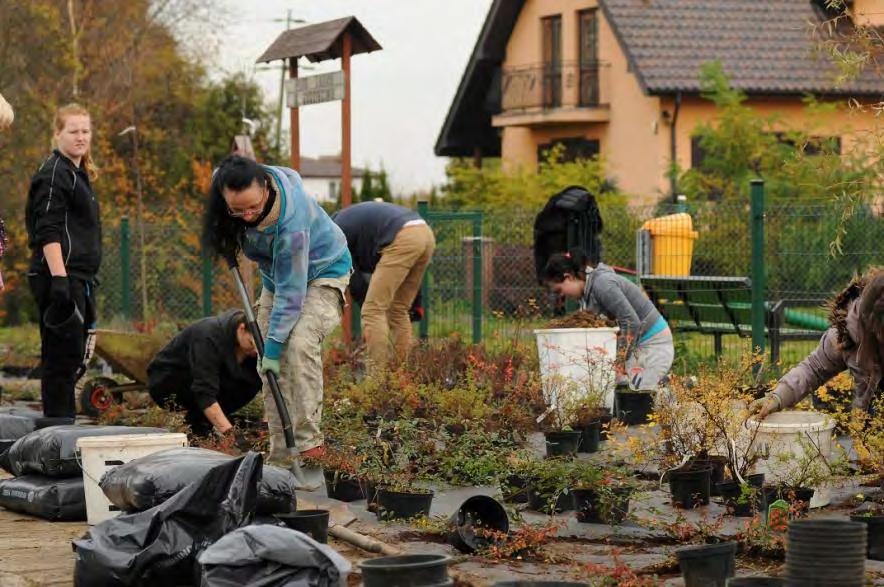 Tworzenie stref nektarodajnych w miejscowościach - zazielenianie wsi