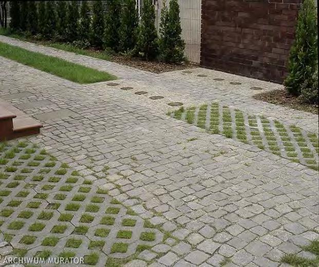 Adaptacja do