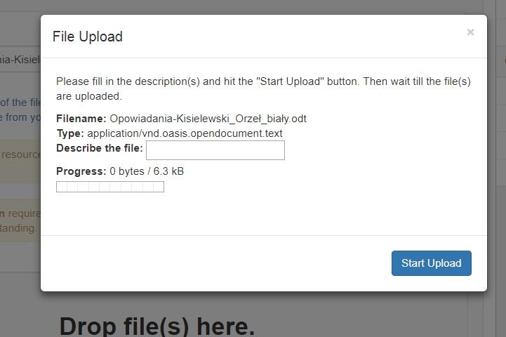 Aby przesłać zasoby, należy kliknąć opcję Start Upload ( uwaga : jeśli dodajemy więcej plików, przycisk ten będzie