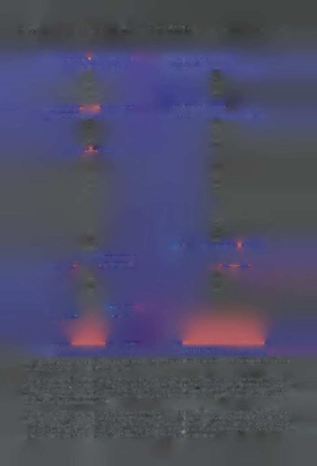 320 I. P ie tr z y k o w s k a i J. K r w a w ic z Rye. 2. Molekularny mechanizm naprawy DNA przez wycinanie nukleotydów u E. coli (A) i u człowieka (B) (według San cara 1994b i Lehmanna 1995).