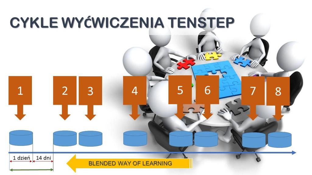 profesjonalnym zarządzaniu projektami biznesowymi. Cykl składa się z pięciu zjazdów jedno- i dwudniowych (osiem dni warsztatowych) w odstępach ok.