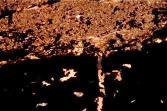 , 1N; CL) Red (CL) dolomite and orange (CL) calcite forming veinlets in dolomite and a pseudoveinlet in chalcocite vein (dolomite, LW-6; transmitted light, 1N; CL) W obrębie masywnego chalkozynu