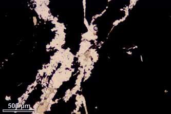 Masywna mineralizacja siarczkami miedzi w dolomitach z kopalni Lubin (monoklina przedsudecka) 39 500 µm 500 µm Fig. 14.