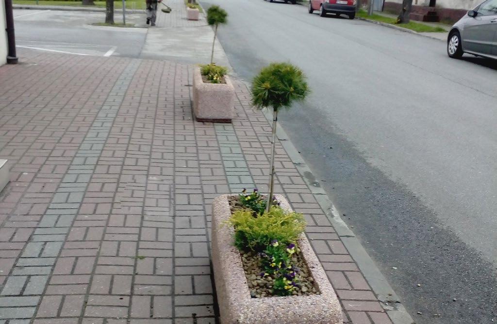 Zadanie publiczne będzie polegało na utworzeniu Klubu Senior + w miejscowości Ciążeń, gmina Lądek.