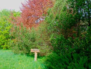 Park dendrologiczny w Skinderiškis Park zajmuje obszar 125 ha, jest
