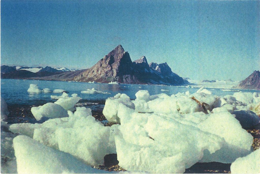 Nauka w Polsce zagadnienia glacjologiczne i geomorfologiczne wzdłuż zachodniego wybrzeża Ziemi Oskara II (Kaffiøyra), na północ od Isfjorden.