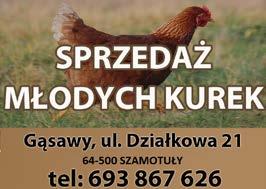 sieci Poczty Kwiatowej lustra szkło malowane