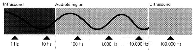20 Hz 20