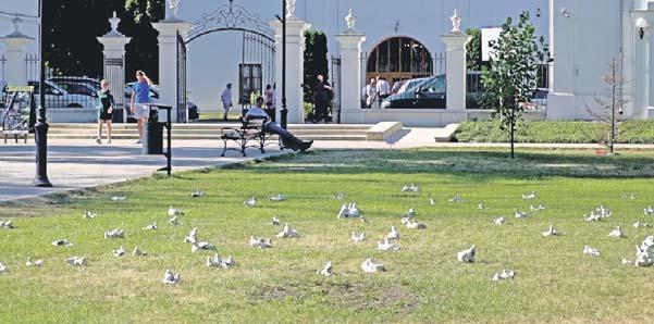 Odpowiada zwięźle i jednocześnie wymownie: Bo tak chcę, bo to lubię. Performance Temat polubiło wielu artystów z całej Polski. Ta myśl stała się źródłem inspiracji.